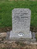 image of grave number 524737